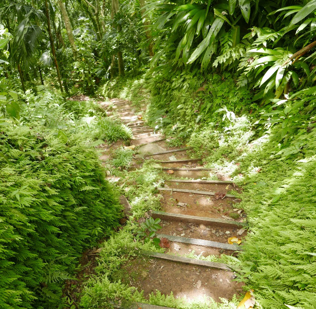 Edmund Forest Trail